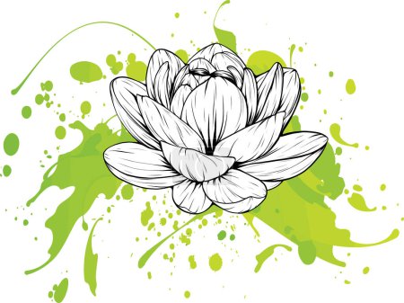 Ilustración de Flor Lily Lotus vector diseño de ilustración - Imagen libre de derechos