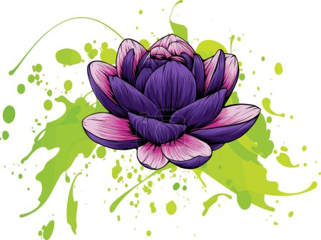 Illustration for Of Lily Lotus isolated on white background - Royalty Free Image