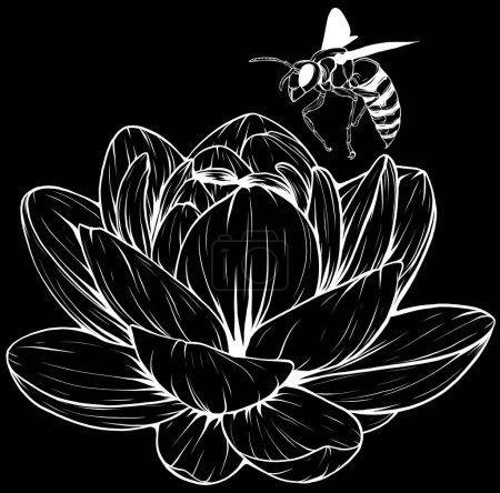 Ilustración de Una flor de agua de loto lirio - Imagen libre de derechos
