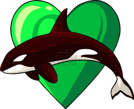 Orca killer whale jumping vector illustration