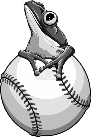rana sentada sobre una pelota de béisbol sobre un fondo blanco