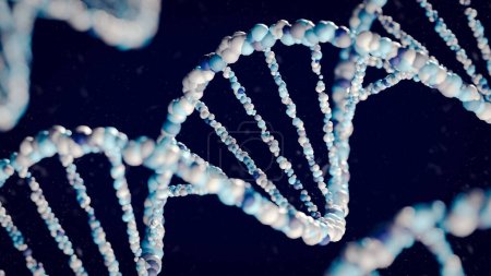 Téléchargez les photos : Rendu 3D des structures double hélix d'ADN en bleu et blanc. - en image libre de droit