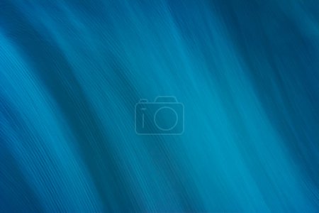 Photo for Abstract blue background with smooth lines. See portfolio for more information from this series. Backdrop - Royalty Free Image