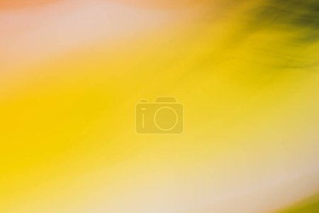 Photo for Abstract yellow background with smooth lines and gradient. Summer sunny mood. Backdrop - Royalty Free Image