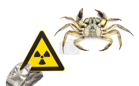 Foto de Señal de advertencia de radiación nuclear y un concepto de cangrejo muerto de mariscos inseguros - Imagen libre de derechos