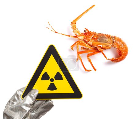 Foto de Señal de advertencia de radiación nuclear y un concepto de langosta de mariscos inseguros - Imagen libre de derechos