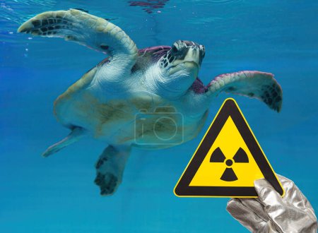 Foto de Señal de advertencia de radiación nuclear y una tortuga marina - Imagen libre de derechos