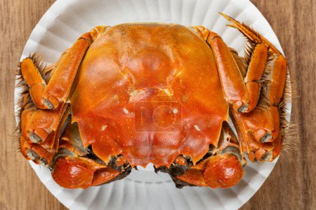 Photo for Top view fresh cooked crab at horizontal composition - Royalty Free Image