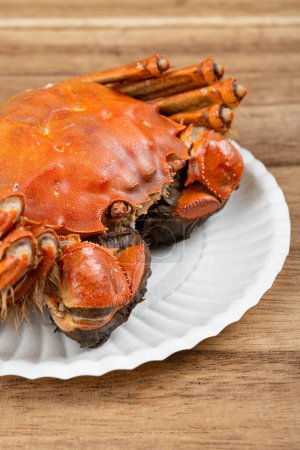 Photo for Angle view fresh cooked crab close up at vertical composition - Royalty Free Image