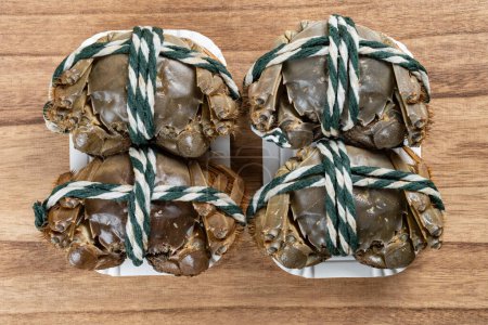 Photo for Top view wrapped alive crabs - Royalty Free Image