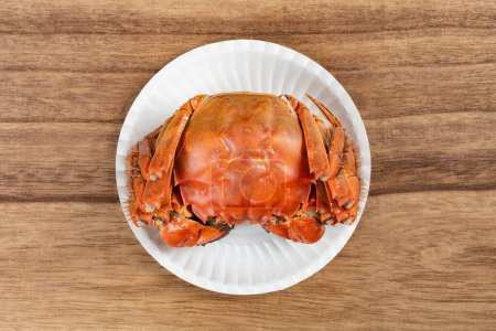 Photo for Top view fresh cooked crab at horizontal composition - Royalty Free Image