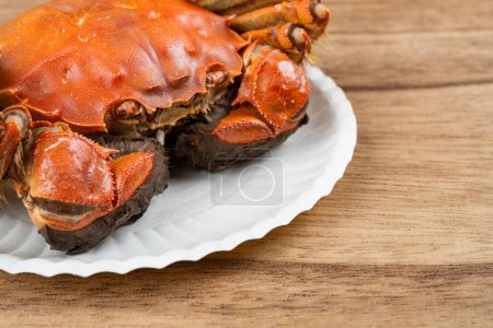 Photo for Angle view fresh cooked crab close up at horizontal composition - Royalty Free Image
