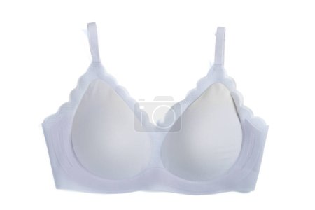 top view lilac bra for women on white background