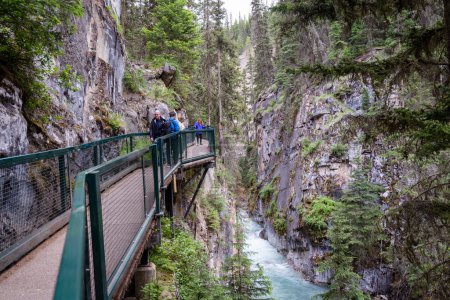 Téléchargez les photos : Alberta, Canada - 10 juillet 2022 : Canyon Johnston dans le parc national Banff au Canada, alors que les touristes marchent sur les passerelles - en image libre de droit
