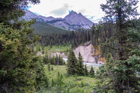 Téléchargez les photos : Paysage le long du sentier Ink Pots dans le canyon Johnston - Parc national Banff dans les Rocheuses canadiennes - en image libre de droit