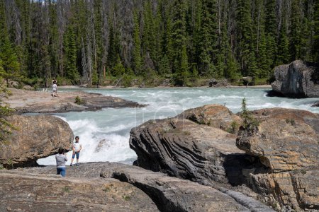 Foto de Field, Columbia Británica - 11 de julio de 2022: Los turistas toman fotos peligrosas en las rocas cerca de la cascada en el Puente Natural en el Parque Nacional Yoho - Imagen libre de derechos