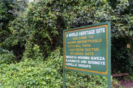 Téléchargez les photos : Panneau de bienvenue au parc national impénétrable de Bwindi, secteur sud à Rushaga Gate, notant les familles de gorilles trouvées sur les treks ici - en image libre de droit