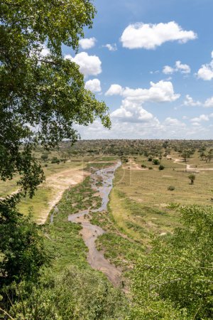 Photo for Green landscape of Tarangire National Park Tanzania, looking down on a river - Royalty Free Image