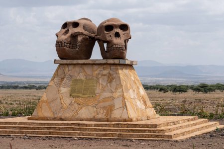 Foto de Tanzania, África - 12 de marzo de 2023: Estatua en el Museo de la Garganta de Olduvai (Ngorongoro Conservation Área). Calaveras humanas de Paranthropus y Homo Habilis - Imagen libre de derechos