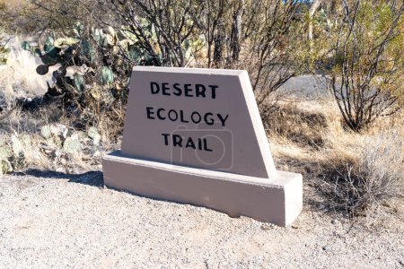 Téléchargez les photos : Desert Ecology Trail dans le parc national de Saguaro East District, Arizona - panneau - en image libre de droit