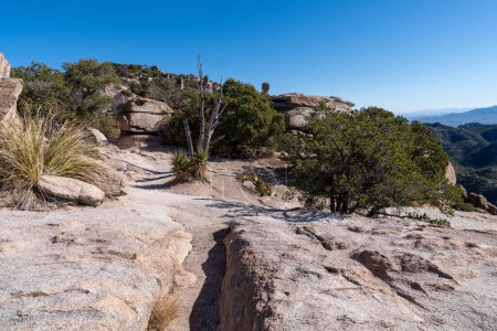 Téléchargez les photos : Paysages le long du Mt. Lemmon Highway près de Summerhaven Arizona - en image libre de droit