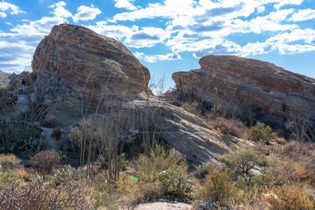 Téléchargez les photos : Sentier Javelina Rocks - Unité Est du parc national Saguaro - en image libre de droit