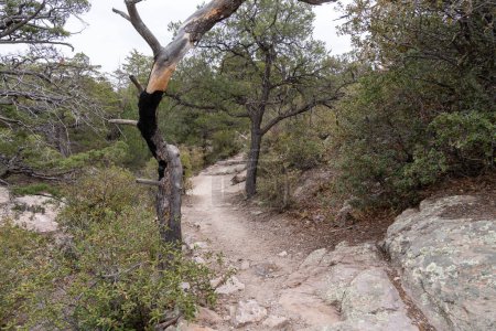 Trailhead directions for Chiricahua National Monument - Faraway Ranch, Stafford Cabin and Bonita Creek trail