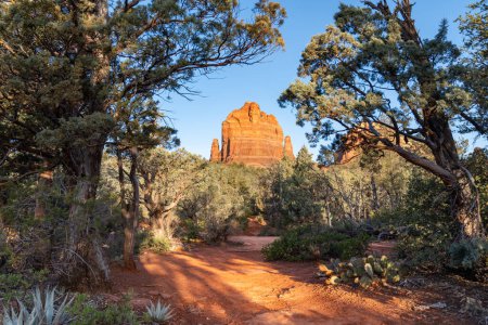 Red Rock formations along the trail of Soldier Pass in Sedona Arizona in the early morning