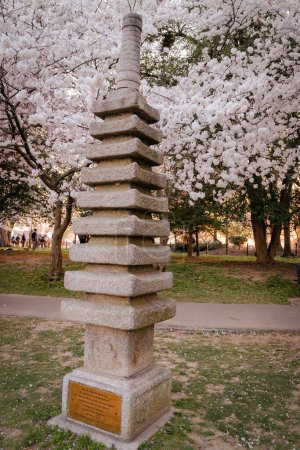 Japanese pagoda at the tidal basin, symbolizing friendship with the USA and Japan, peak cherry blossom season in Washington DC