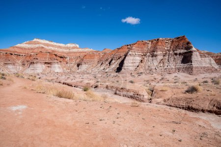 Formations rocheuses rouges et grès le long du sentier des Toadstools dans le monument national du Grand Escalante dans l'Utah