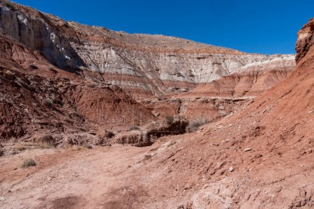 Formations rocheuses rouges et grès le long du sentier des Toadstools dans le monument national du Grand Escalante dans l'Utah