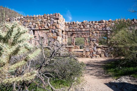 Ruinen des Bowen Stone Homestead, Tucson Mountain Park in Tucson Arizona