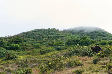 Mystisch grüner Hügel mit Nebel am Gipfel, offenem Feld und einem Holzschild