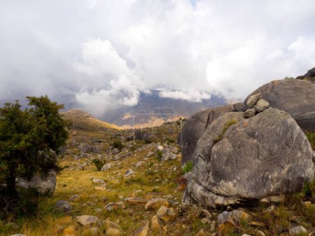 Téléchargez les photos : Morning mists over rocky mountains, Andringitra, Madagascar - en image libre de droit