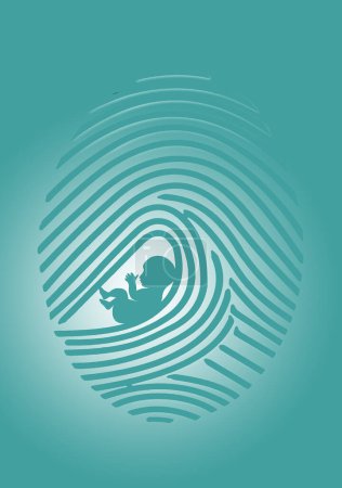 Téléchargez les photos : A fingerprint is seen with a human fetus in a 3-d illustration about if or when does a fetus become a human being with regards to abortion rights arguments. - en image libre de droit