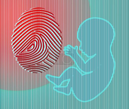 Photo for A fingerprint is seen with a human fetus in a 3-d illustration about if or when does a fetus become a human being with regards to abortion rights arguments. - Royalty Free Image