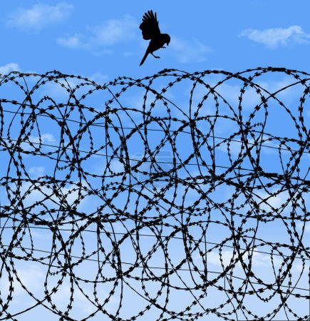 Foto de Un pájaro libre está a punto de aterrizar en el alambre de afeitar, alambre contstantino, alambre de púas de una prisión y se ve delante de un cielo azul en esta imagen de fondo. - Imagen libre de derechos