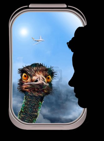 Photo for A comical looking emu peers into the window of  a passenger airliner. Emus are a flightless bird, but not this one - Royalty Free Image