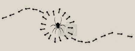 Líneas de hormigas negras rodean una araña en una ilustración sobre el trabajo en equipo.