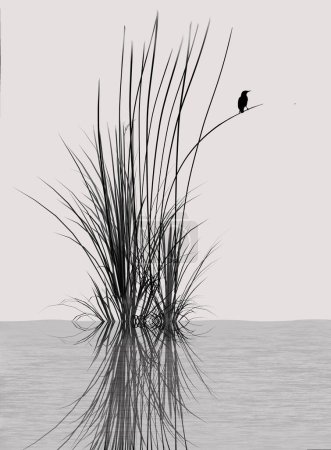 A bird rests on a bending stalk of grass emerging from water. in a pond or lake in an illustration.