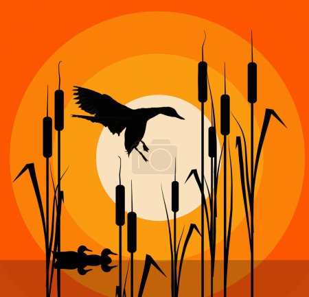 Mallard ducks are seen in cattails at sunset in this graphic illustration.