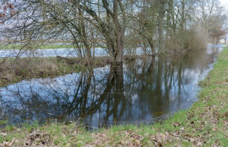 Überflutete Wiesen in der Altmark, Sachsen-Anhalt