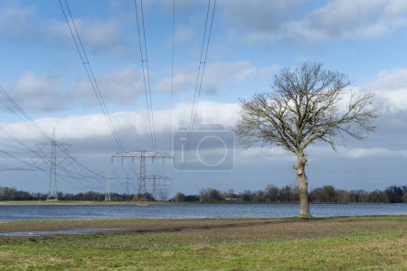 Prairies inondées avec pylônes électriques dans l'Altmark, Saxe-Anhalt, Allemagne