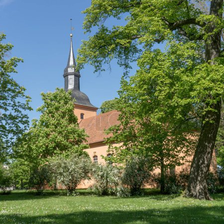 Barocke Dorfkirche in Ribbeck mit Bäumen im Frühling