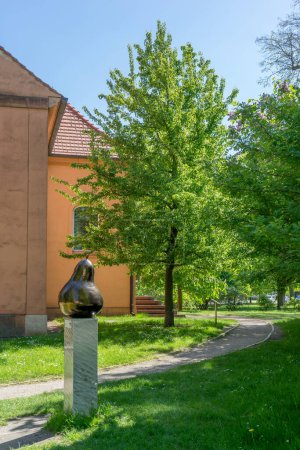 Birnbaum vor der Kirche in Ribbeck, Nauen im Frühling