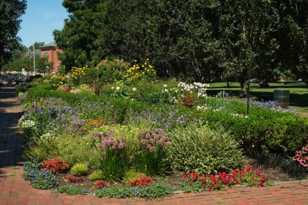 Téléchargez les photos : Long lit de fleurs vibrantes à Schiller Park, village allemand, à Columbus, Ohio - en image libre de droit