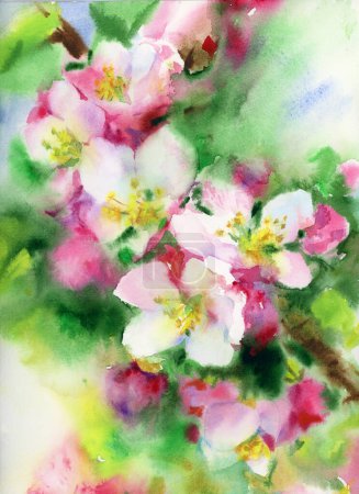 Photo for Blossoming tree flowers painting,  floral background. Watercolor illustration. - Royalty Free Image