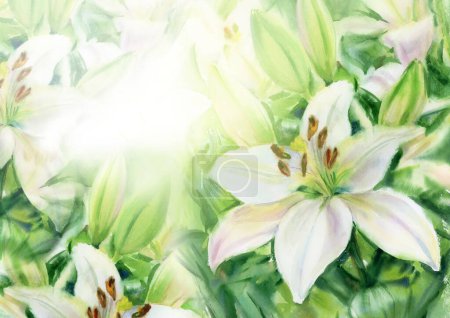 Photo for White lilies  floral background. Watercolor illustration. - Royalty Free Image