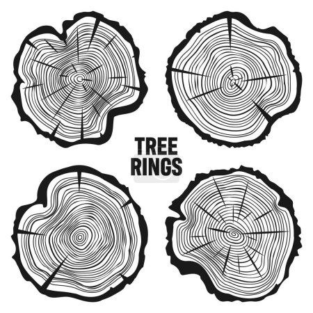 Coupes rondes de tronc d'arbre avec des fissures, des tranches de pin ou de chêne scié, du bois. Scie bois coupé, bois. Texture en bois avec anneaux d'arbre. Croquis dessiné à la main. Illustration vectorielle.
