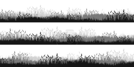 Téléchargez les illustrations : Silhouettes de prairie avec herbe, plantes sur la plaine. Paysage panoramique de pelouse d'été avec des herbes, diverses mauvaises herbes. Bordure à base de plantes, cadre. Fond naturel. Bannière horizontale noire. Illustration vectorielle. - en licence libre de droit